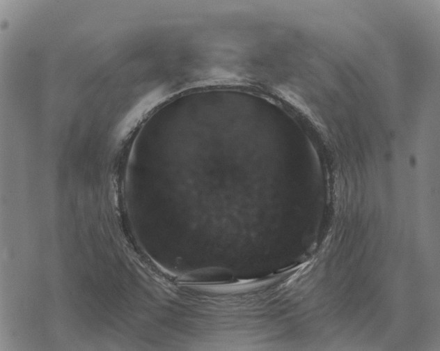 X0000074341455200609011616