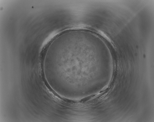 X0000074341456200609011616