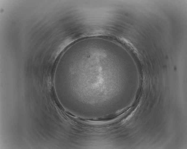 X0000074341457200609011616