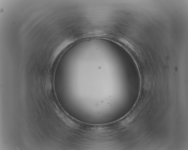 X0000074341458200609011616