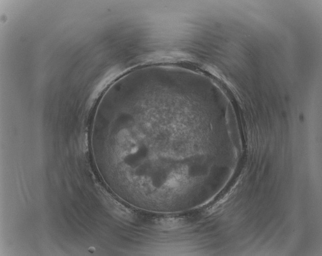 X0000074341459200609011616