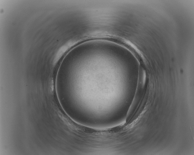 X0000074341461200609011616