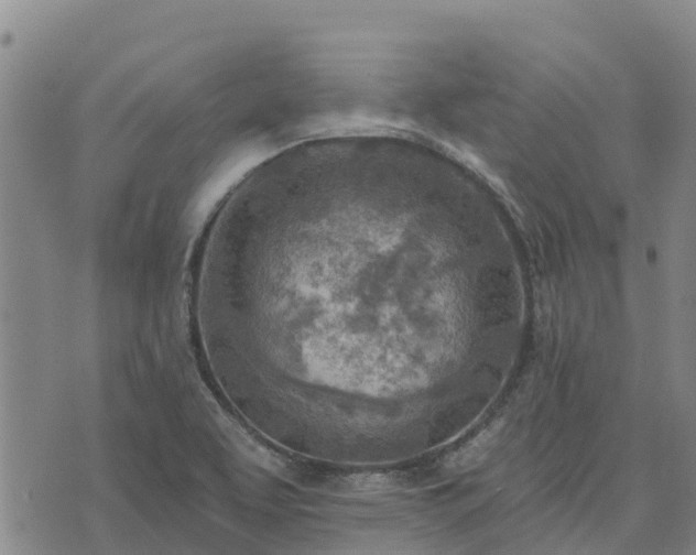 X0000074341463200609011616