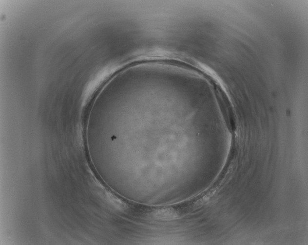 X0000074341464200609011616