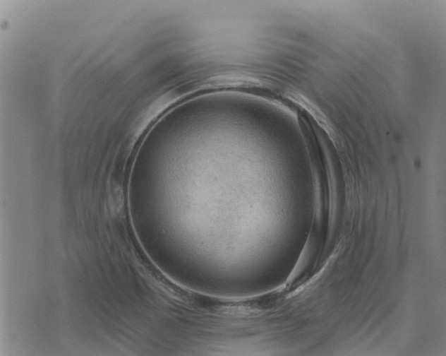 X0000074341465200609011616