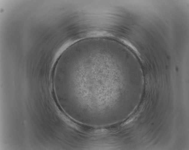 X0000074341467200609011616