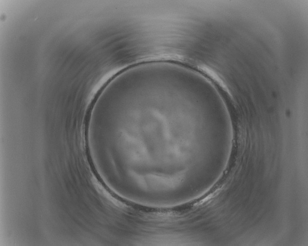 X0000074341468200609011615