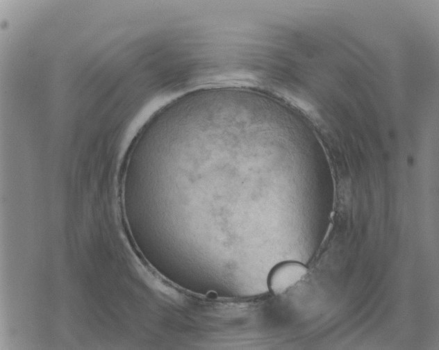 X0000074341470200609011615