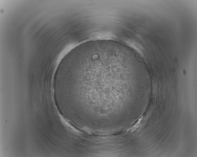 X0000074341471200609011615