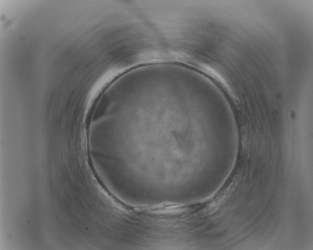 X0000074341472200609011615