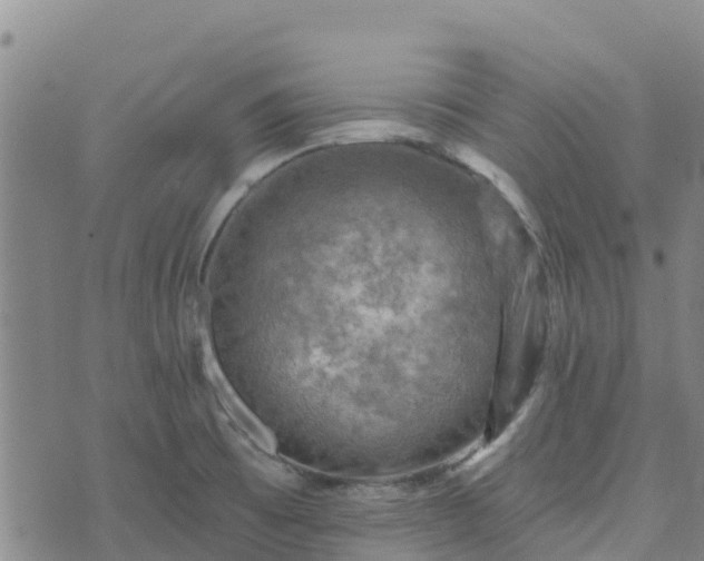 X0000074341473200609011615