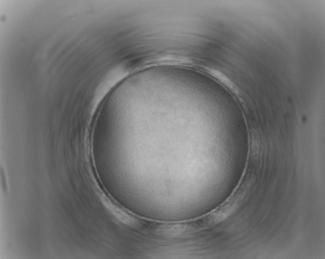 X0000074341474200609011615