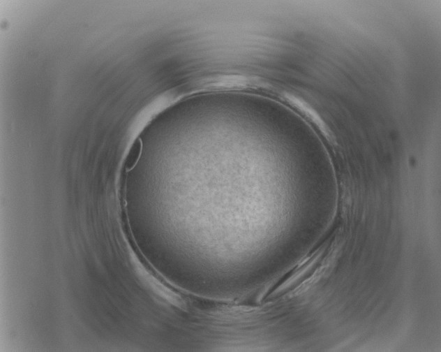 X0000074341475200609011615