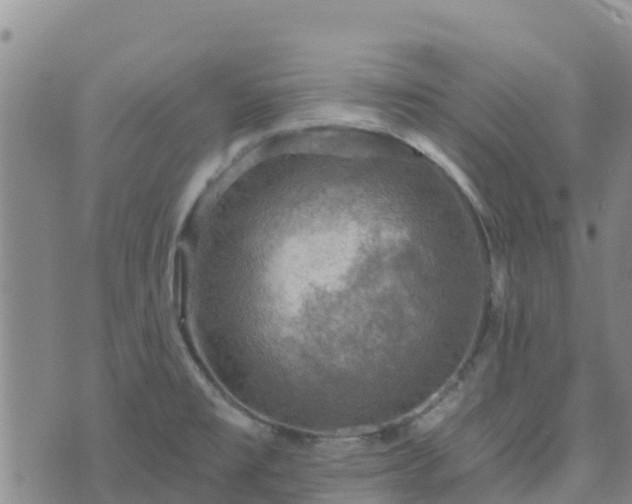 X0000074341477200609011615