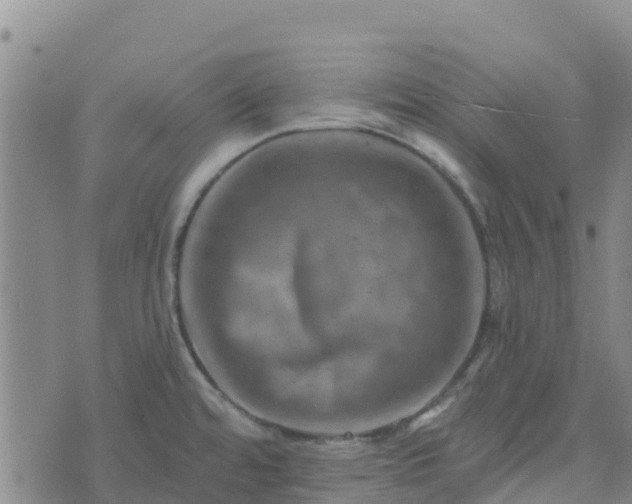 X0000074341480200609011615