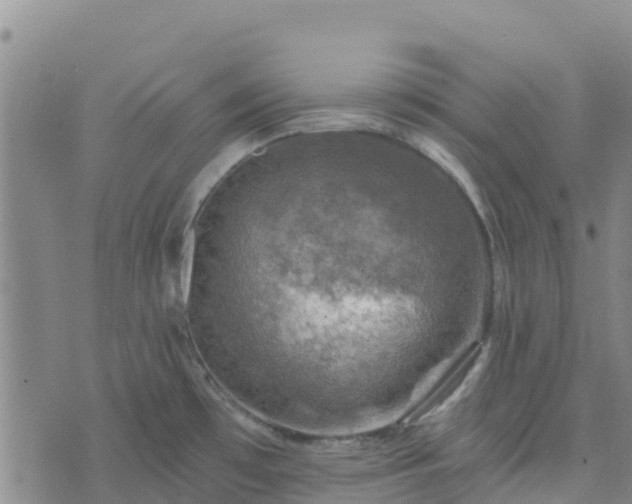 X0000074341481200609011615