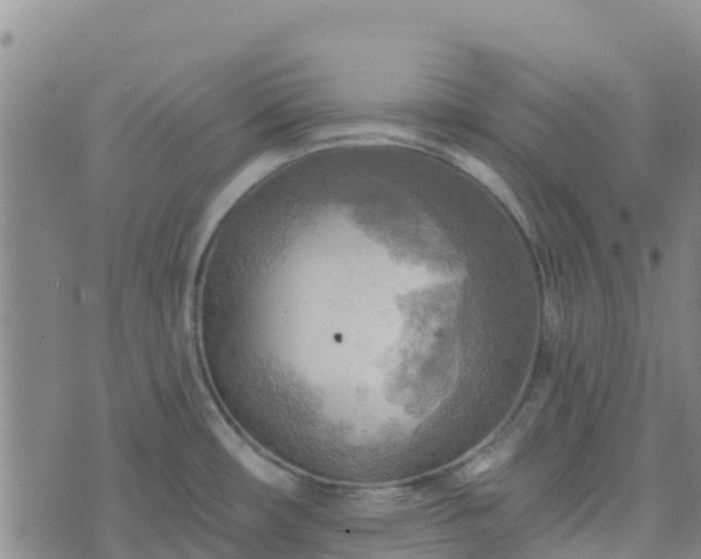 X0000074341482200609011615