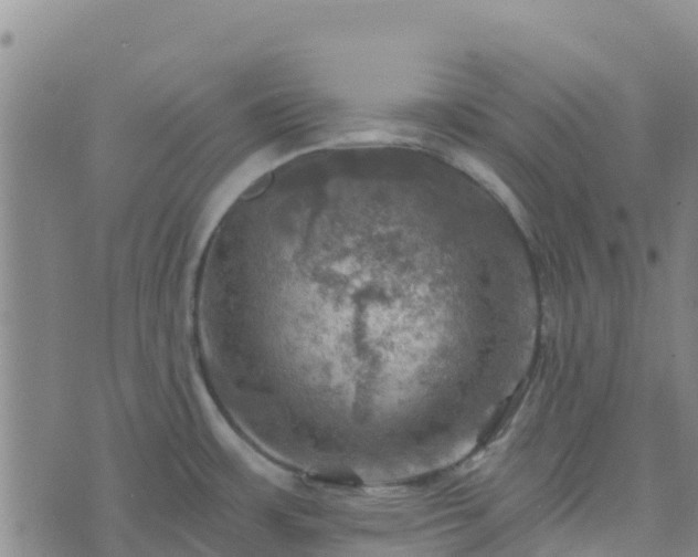 X0000074341483200609011615