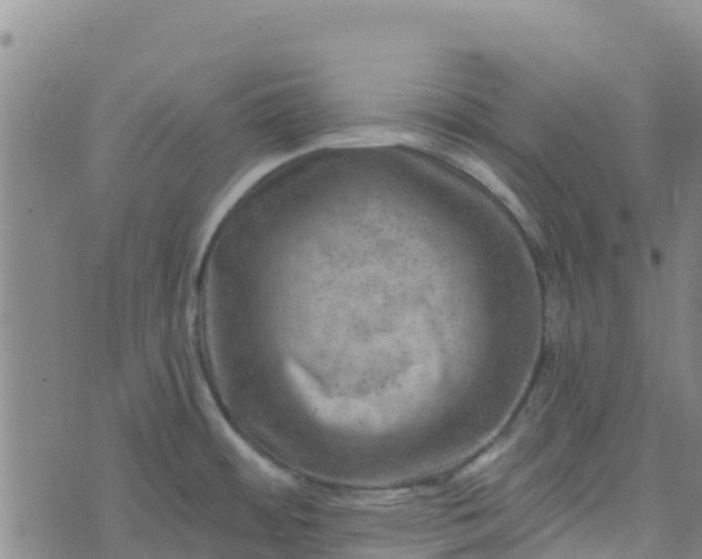 X0000074341484200609011615