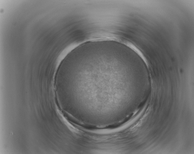 X0000074341485200609011615