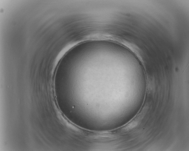 X0000074341486200609011615