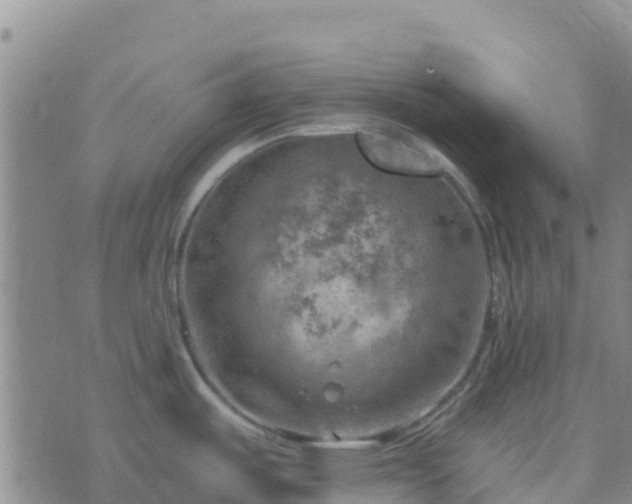 X0000074341487200609011615