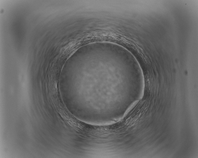 X0000074341489200609011614