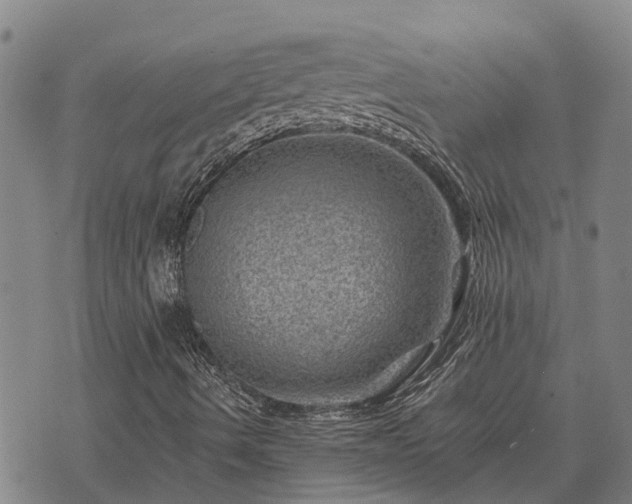 X0000074341490200609011614