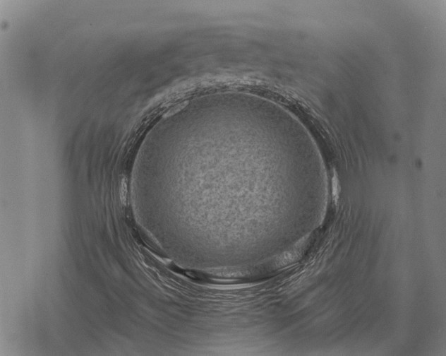 X0000074341492200609011614