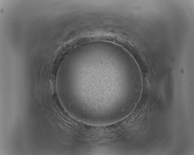 X0000074341493200609011614