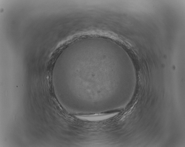 X0000074341494200609011614