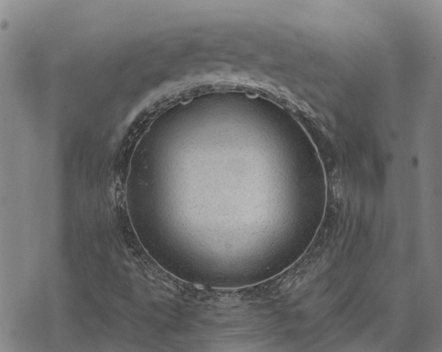 X0000074341495200609011614