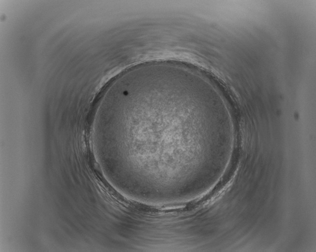 X0000074341497200609011615