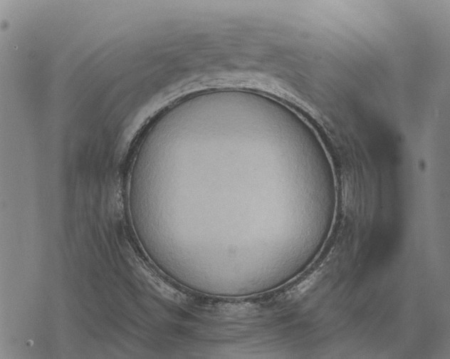 X0000074341498200609011615