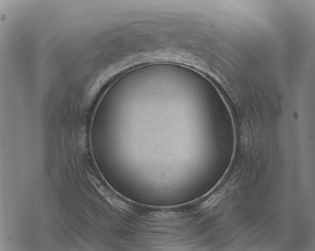 X0000074341499200609011615