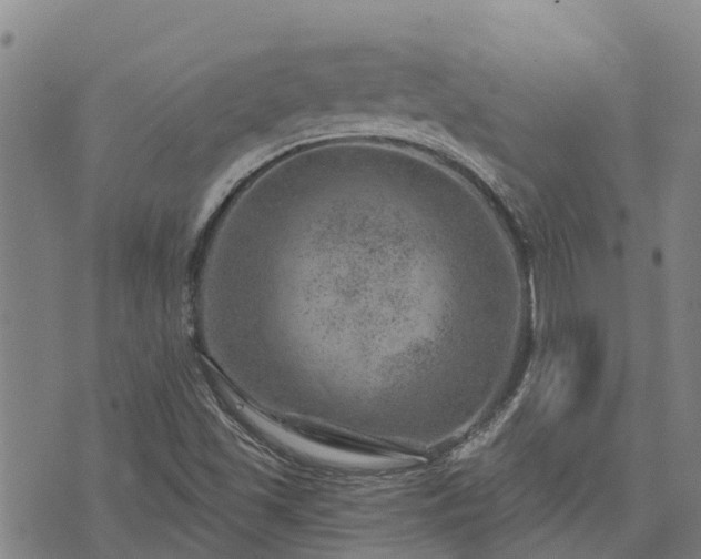 X0000074341501200609011615