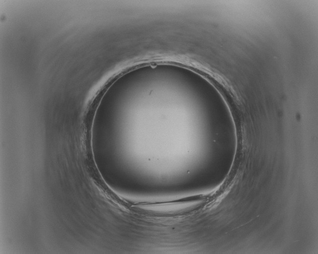 X0000074341502200609011615