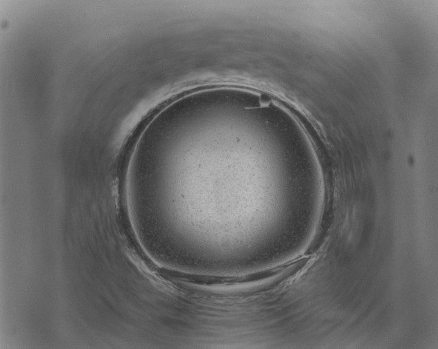 X0000074341503200609011615