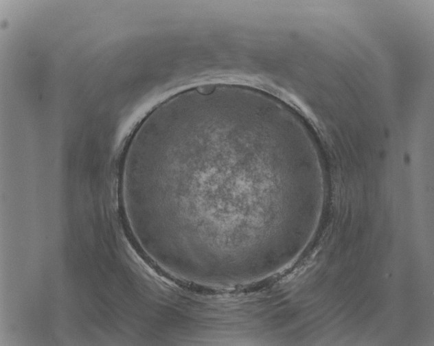 X0000074341504200609011615