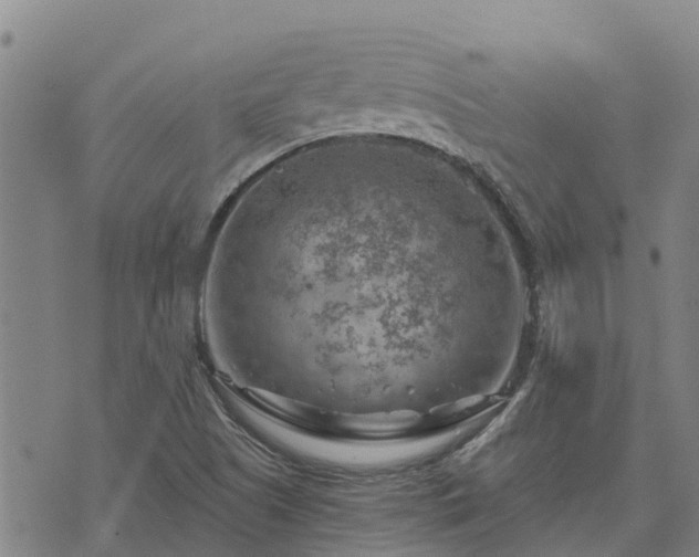 X0000074341505200609011615