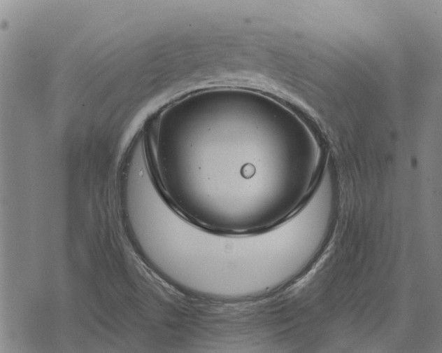 X0000074341506200609011615