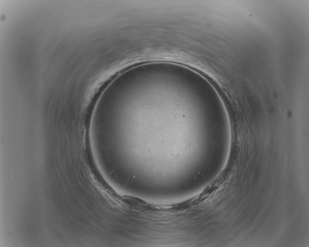 X0000074341507200609011615