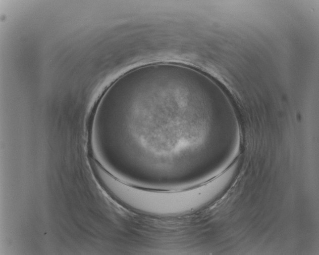 X0000074341508200609011615