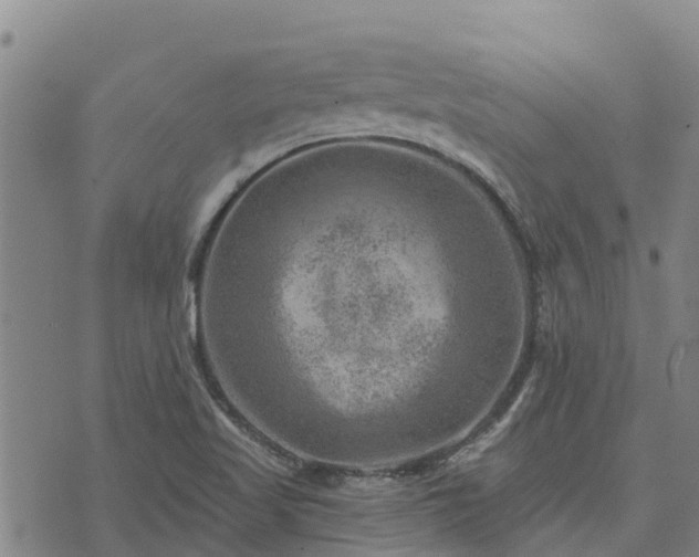 X0000074341509200609011615