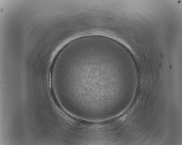 X0000074341510200609011615