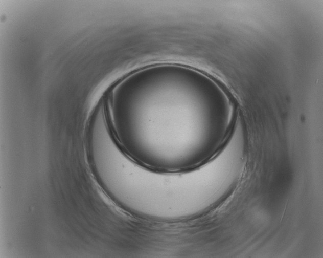 X0000074341511200609011615