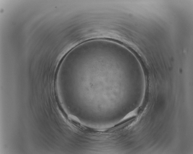 X0000074341513200609011615