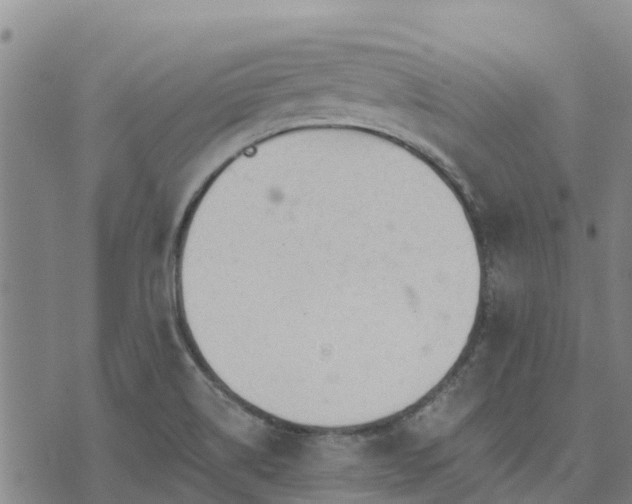 X0000074341514200609011615