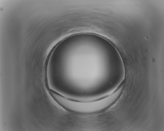 X0000074341518200609011615