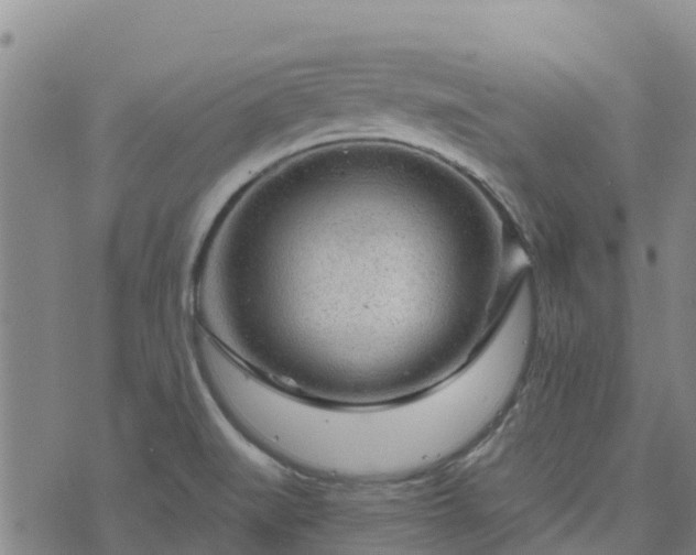 X0000074341519200609011615